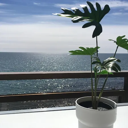 Malibu * Benalmádena